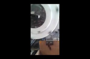 <iframe width="450" height="300" src="//www.youtube.com/embed/QWEi3Kx7fxI? fs=1&hl=en_US&rel=0"><frameborder="0" allowfullscreen></iframe>